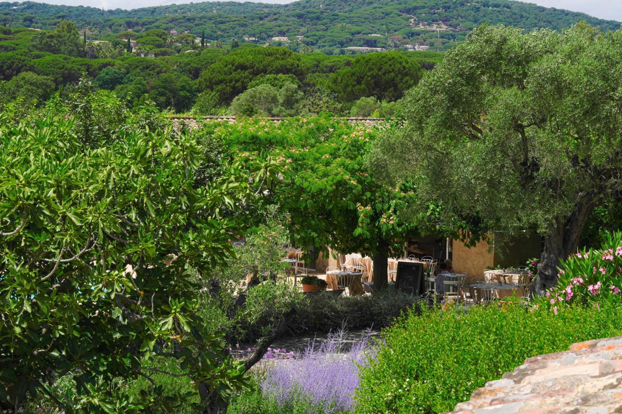 Hotel La Figuiere Σαιν-Τροπέ Εξωτερικό φωτογραφία